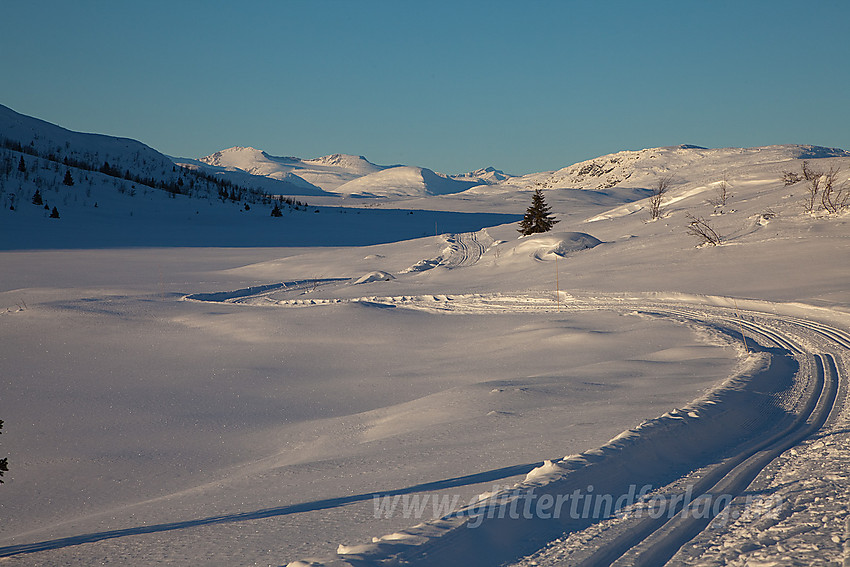 Ved Huldretjernet øst for Kjølafjellet i løypenettet til Yddin og Janvlie løypelag med noen av Jotunheimens tinder i bakgrunnen.