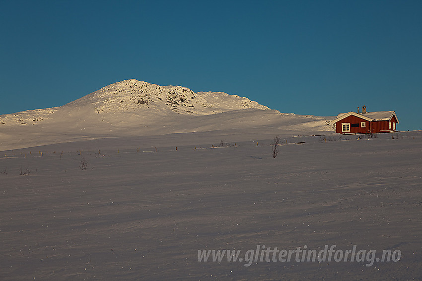 I løypenettet til Javnlie og Yddin løypelag, like nedenfor Jordestølen, med Skaget (1686 moh) i bakgrunnen.