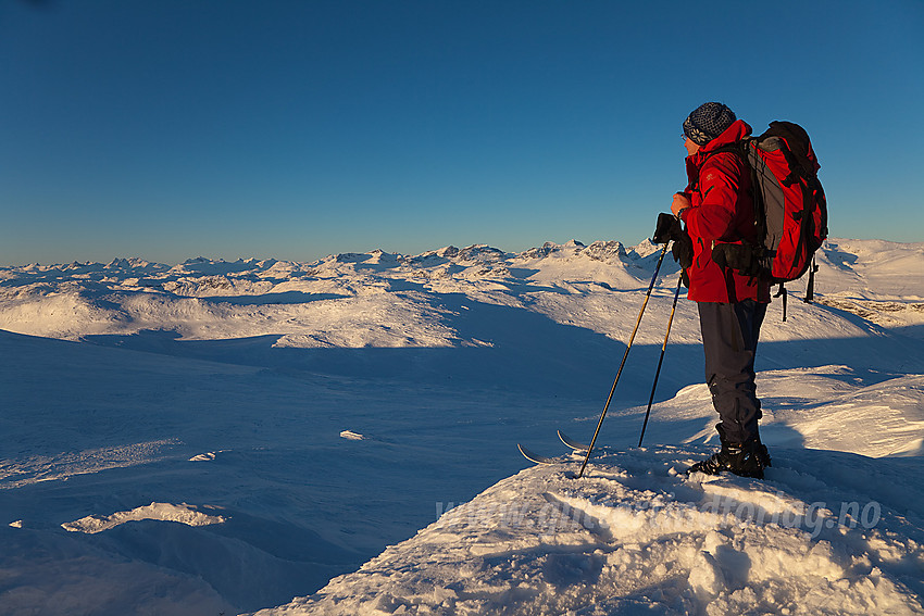 Utsikt fra Mugnetinden i retning Jotunheimen med Gjendealpene.