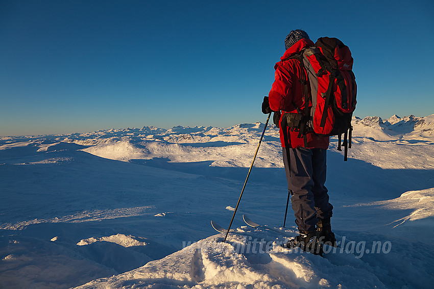 Utsikt fra Mugnetinden i retning Jotunheimen med Gjendealpene.