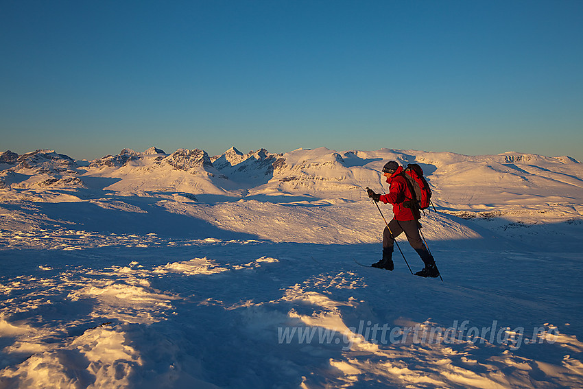 Skiløper på toppen av Mugnetinden (1737 moh) i Vang. Gjendealpene i Jotunheimen ses i bakgrunnen.