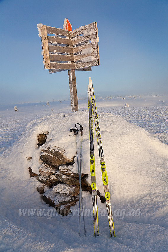 Varden på Gribbehaugen (1057 moh) ikke langt fra Hovda i Tisleidalen, Nord-Aurdal kommune.