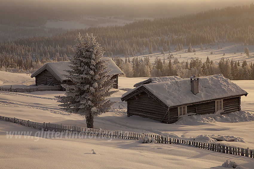 Fra løypenettet til Tisleidalen løypelag litt nedenfor Gribbehaugen med Tisleidalen i bakgrunnen.