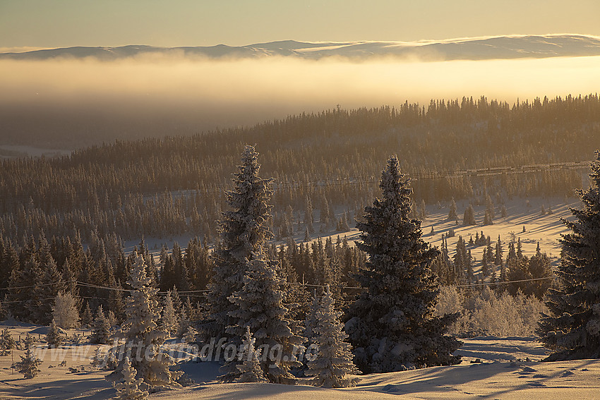 Fra løypenettet til Tisleidalen løypelag mot Tisleidalen med fjell som Haugsetfjellet, Meitebekkfjellet og Nystølfjellet i bakgrunnen.