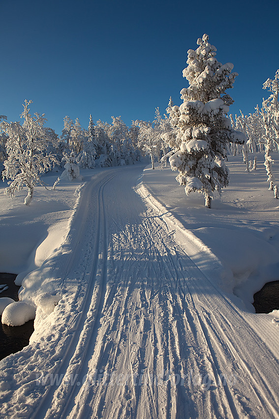 Ved utløpet av Hærevatnet hvor skiløypa passerer Hervassbekken på bro.