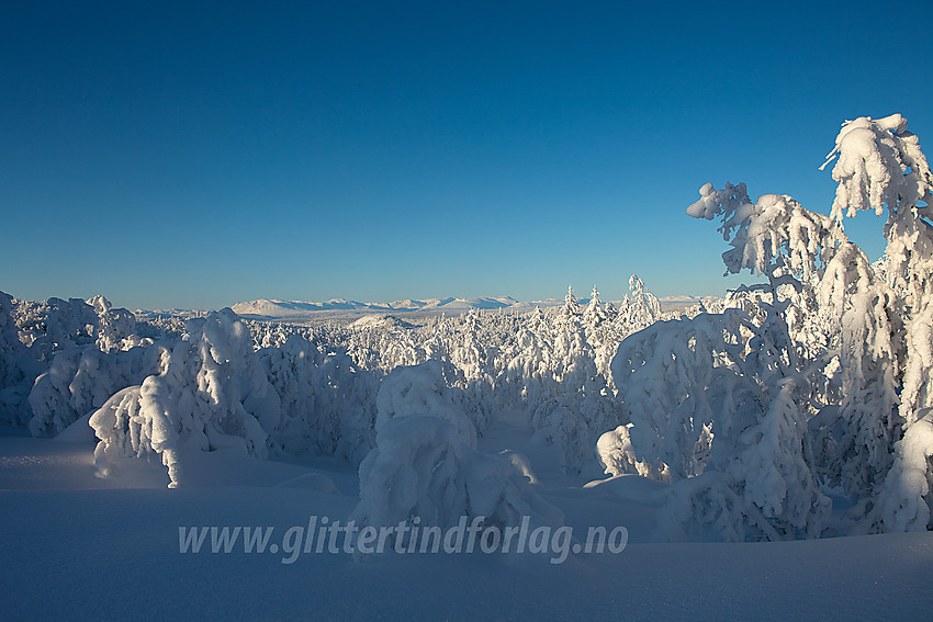 I løypenettet til Tisleidalen løypelag på høyda mellom Skutetjernet og Haugsjøen. I bakgrunnen ses fjellene mellom Hemsedal og Vestre Slidre med Ranastongi som det høyeste.