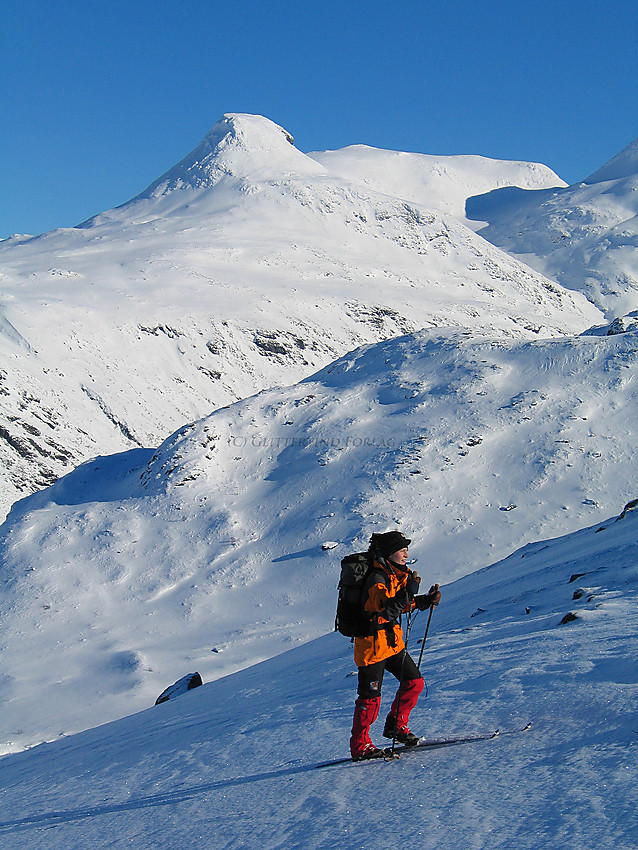 Skiløper på vei oppover Dyrhaugsryggen en gnistrende februardag. I bakgrunnen ruver Steindalsnosi.