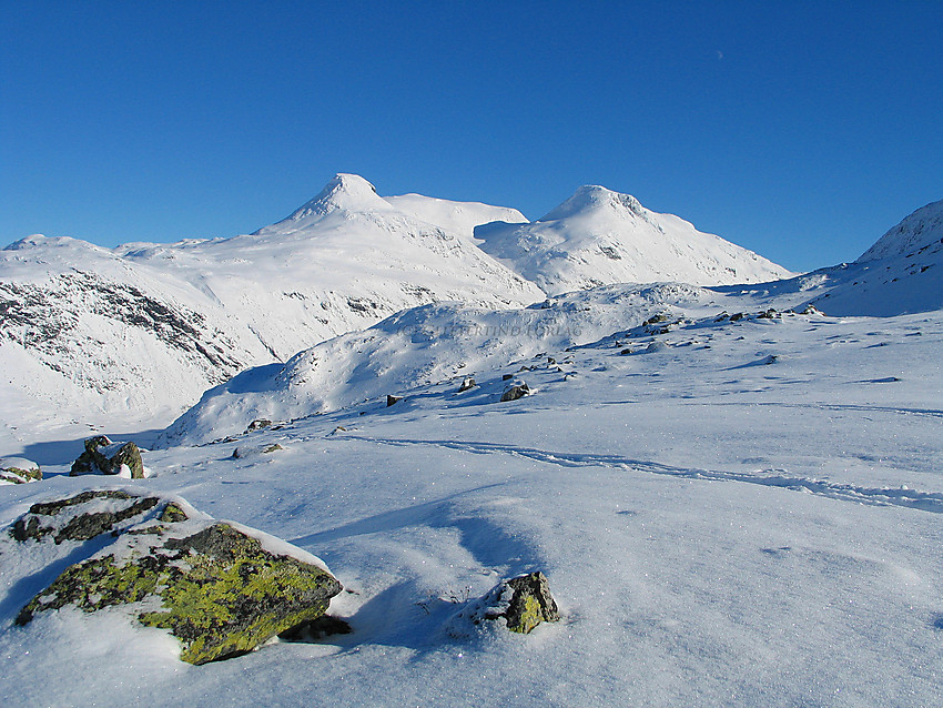 Fra nedre del av Dyrhaugsryggen en februardag med utsikt mot Steindalsnosi og Fannaråken.