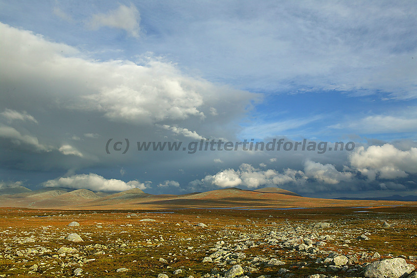 En stemningsfull høstkveld på Valdresflye med utsikt mot Gråhøe (1779 moh.) til venstre og bl.a. Søre og Nørdre Gluptinden. Fisktjednet ses også såvidt.