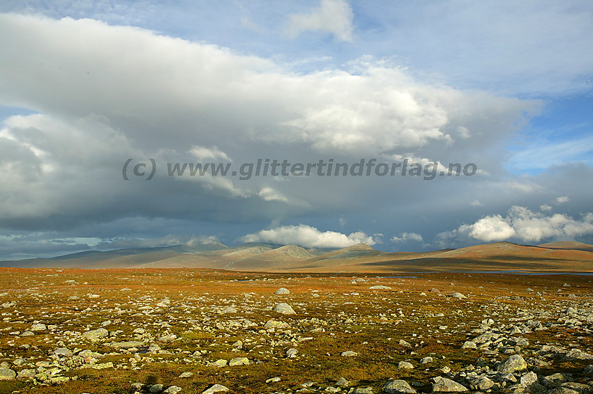 Stemningsfull høstkveld på Valdresflye med utsikt østover. Litt til venstre for midten i bildet Gråhøe (1779 moh.), deretter: Kvernhøe, Nørdre og Søre Gluptinden og til slutt Steinstogonuten og Store Nuten.