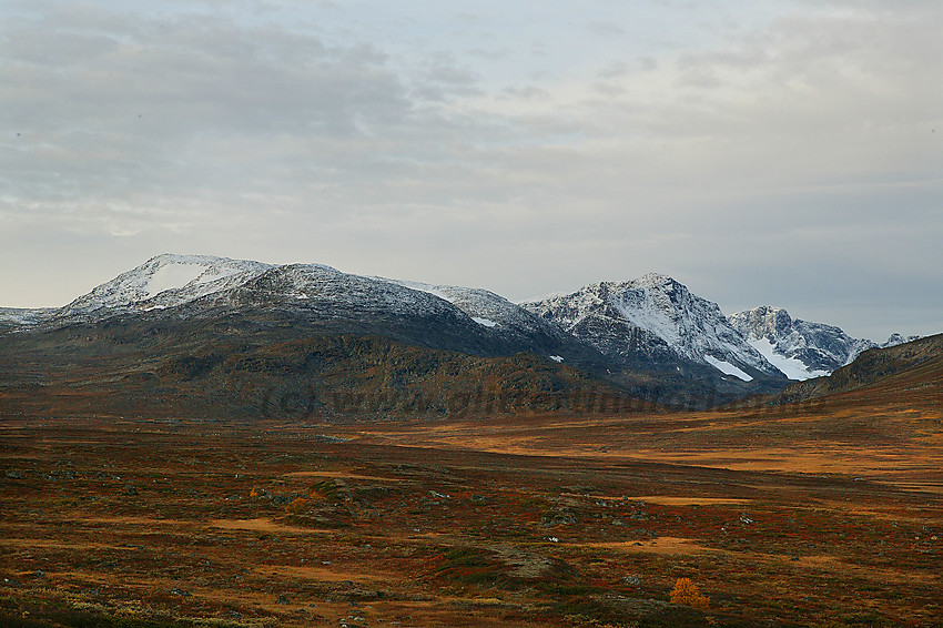 Morgenstemning ved riksvei 51 utenfor Leirungsdalen. På bildet ses bl.a. Raudhamran, Øystre Rasletinden,Munken og Vestre Kalvehøgde.