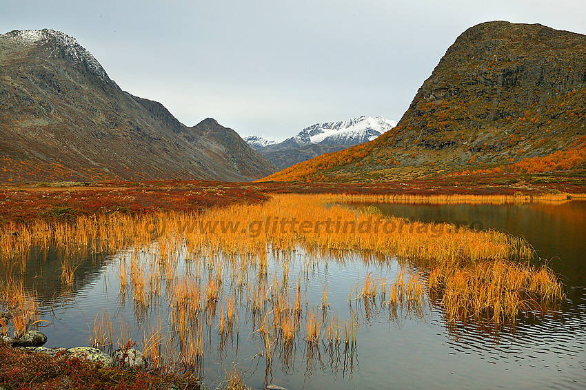 Ved foten av Knutshøe en flott høstdag. Høstgult siv og et stille tjern. I bakgrunnen Bukkehåmåren,Veslløyfttinden, og Surtningssumassivet.