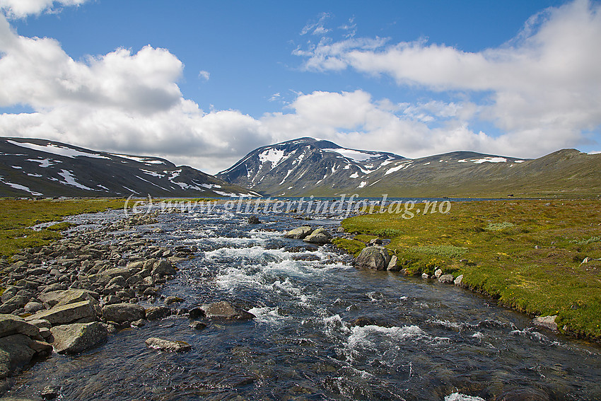 Bessa like nedenfor utløpet av Bessvatnet. I bakgrunnen Besshøe (2258 moh.)