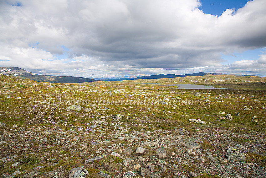 Langs stien over Besstrondfjellet (Bessheim/Gjendesheim - Glitterheim) med Besstrond-Rundhøe i bakgrunnen.