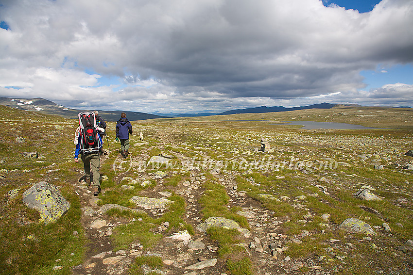 Fjellvandrer på vei over Besstrondfjellet på stien Bessheim / Gjendesheim - Glitterheim.