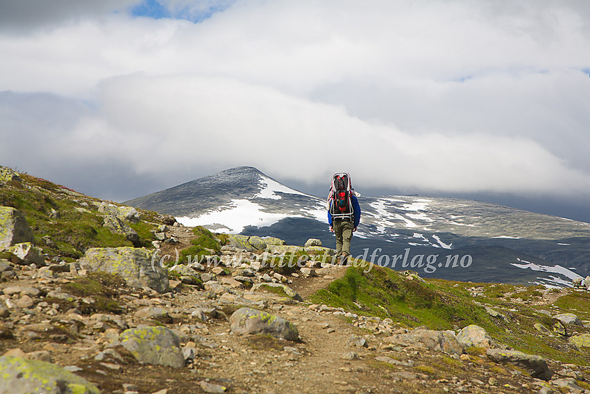 På vei langs stien Bessheim / Gjendesheim - Glitterheim over Besstrondfjellet før nedstigningen til Russvatnet. I bakgrunnen Nautgardstinden (2258 moh.).