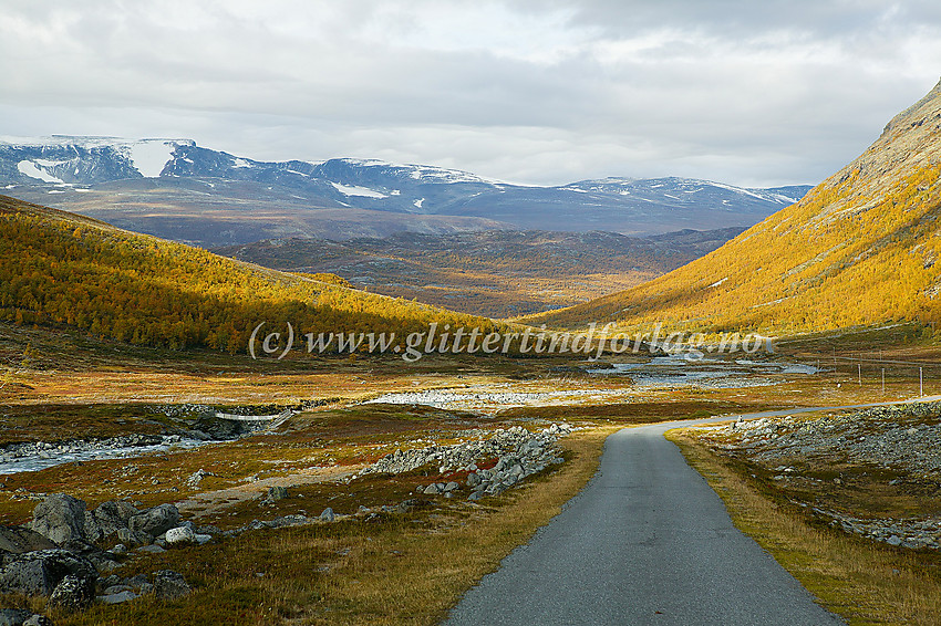 Flott høstdag i Leirdalen like ovenfor Geitsætre. Til venstre Leira med broa over elva like ved setra. I bakgrunnen Austre Hestbreapiggen (2132 moh.), Heksete og lengst til høyre Hesthøe (2021 moh.).