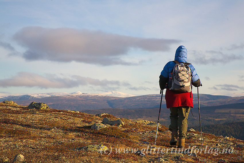 Fjellvandrer på tur på Trollhøemassivet mellom Lemonsjøen og Tesse. I det fjerne anes et snøhvitt Dovrefjell.