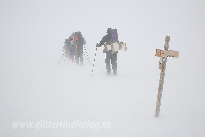 Gruppe skiløpere på tur i dårlig vær. Her på vei opp Mjølkedalen med Olavsbu som mål.