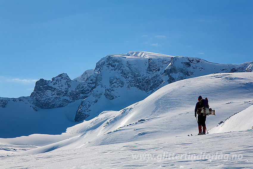 Skiløpere på Skautflye med Leirhøe (2330 moh) og Veobreahesten (2185 moh t.v.) i bakgrunnen.