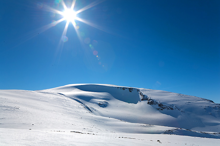 Leirhøe (2330 moh) sett fra nord.