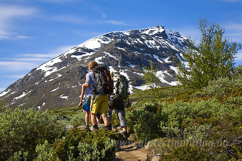 Fjellvandrere på vei til Svellnosbrean. Bildet er tatti Visdalen med Styggehøe (2213 moh) i bakgrunnen.