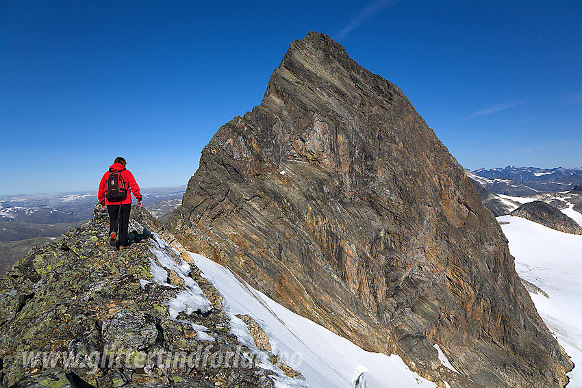 På toppen av Uranostinden S1 (2037 moh) med Uranostinden (2157 moh) i bakgrunnen.