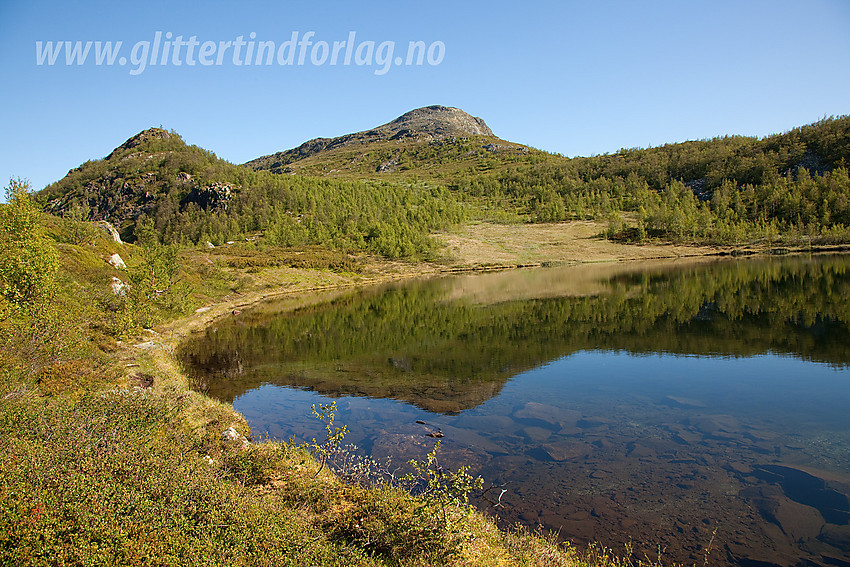 Ved Skardtjednet, nær Strø i Vestre Slidre, langs ruta opp til Nøsakampen.