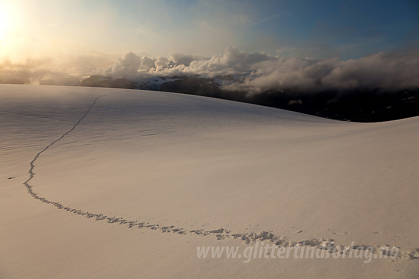 Våre spor fra Brattebakken over Bohrsbreen mot Lodalskåpa.