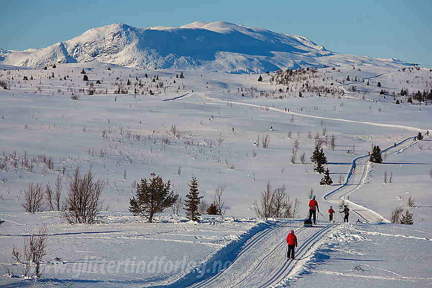 Oppunder Syni med Nøsakampen og Gilafjellet i bakgrunnen.