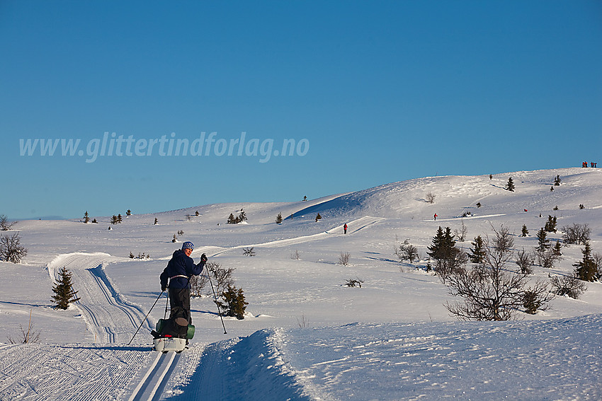 På vei det siste stykket mot Syni (1137 moh) i Nord-Aurdal. Toppen ses såvidt bak til høyre med folk på.