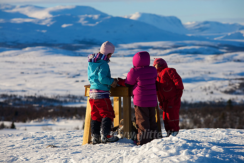 På toppen av Syni (1137 moh) i Nord-Aurdal.