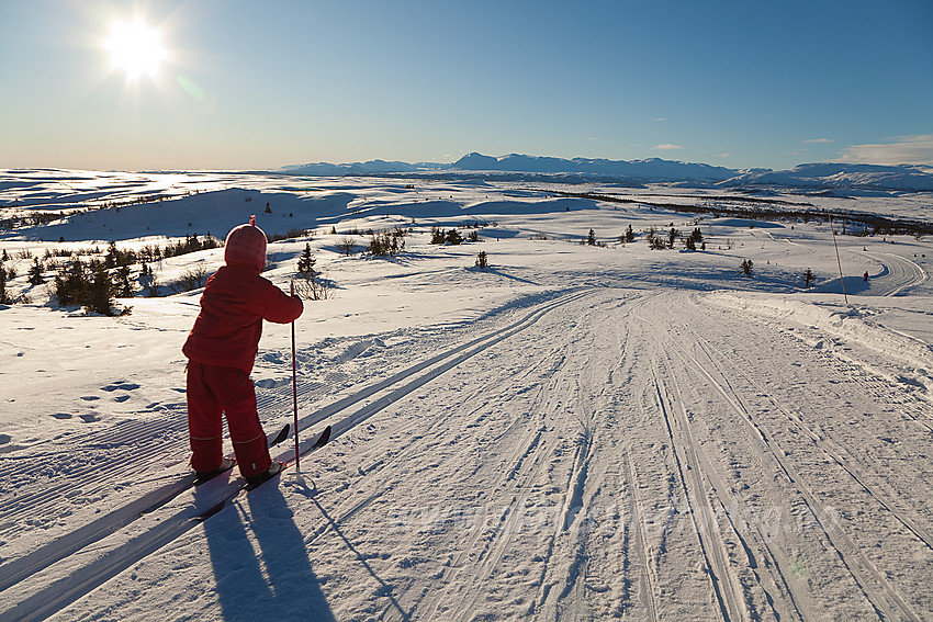 På vei ned fra Syni i Nord-Aurdal med et alt annet enn dårlig utsyn. I bakgrunnen dras kjensel på bl.a. Skogshorn og Veslebottenskarvet.