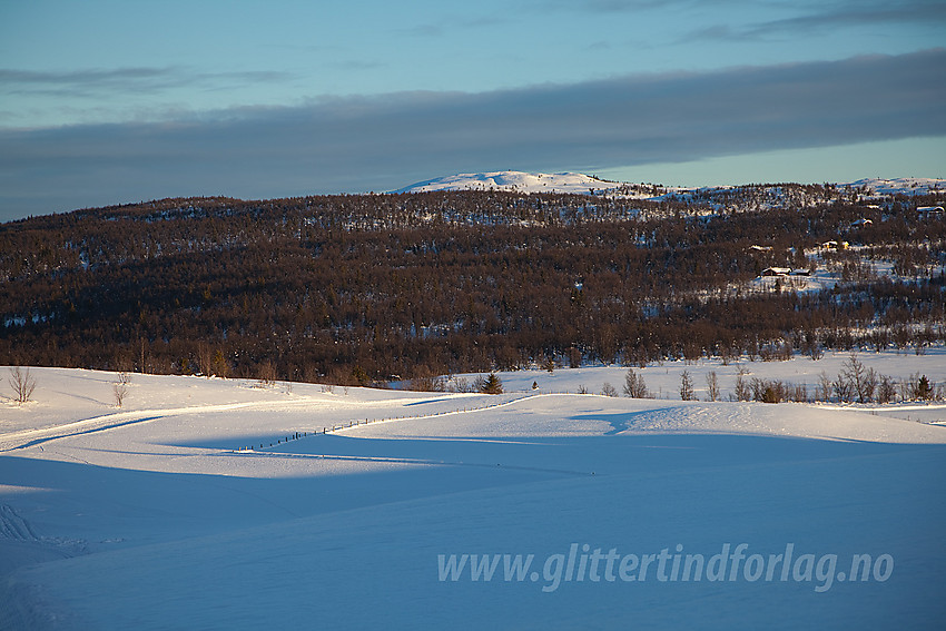 Syni (1137 moh) sett fra vest.