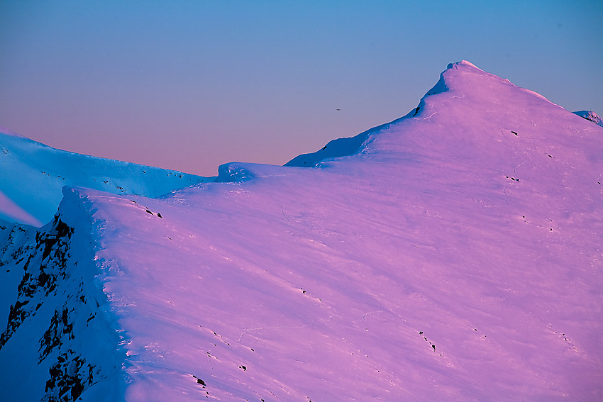 Hestfjellet/Tverrfjellet. Legg merke til ørna i det fjerne.