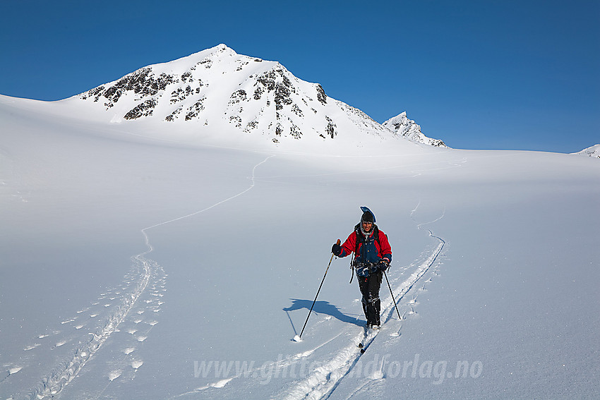 Skiløper på vei over Vestre Memurubrean med Store Hellstugutinden (2346 moh) i bakgrunnen. Midtre (2339 moh) kan skimtes lenger bak til høyre. Sporet til venstre i bildet er det vi tråkket innover den foregående natta.