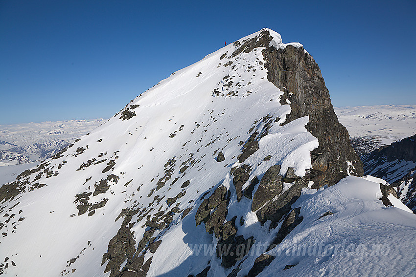 Skardstinden (2373 moh) sett fra øst på ryggen mot Nåle.