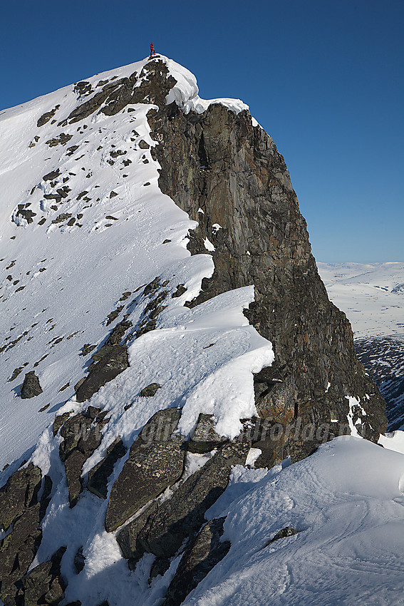 Skardstinden (2373 moh) sett fra øst på ryggen mot Nåle.