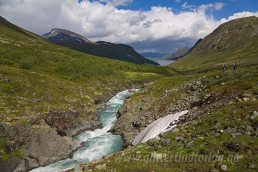 I Memurudalen med Muru som slynger seg ned mot Gjende. Bak til venstre ses Besshøe.