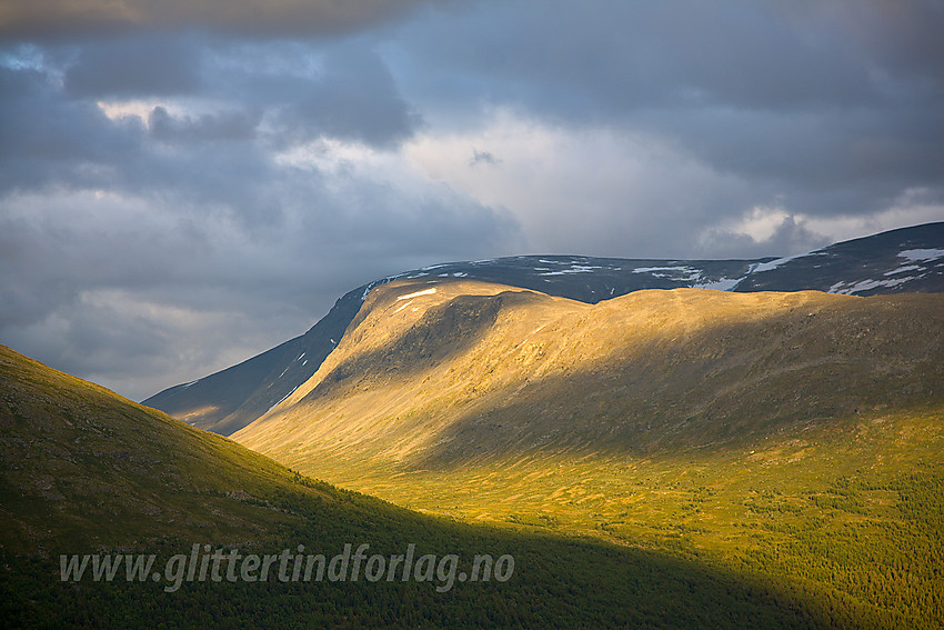 Stemningsfull sommerkveld fra Sygardshaug ved Raubergstulen mot Gokkerdalen og Gokkeroksle.