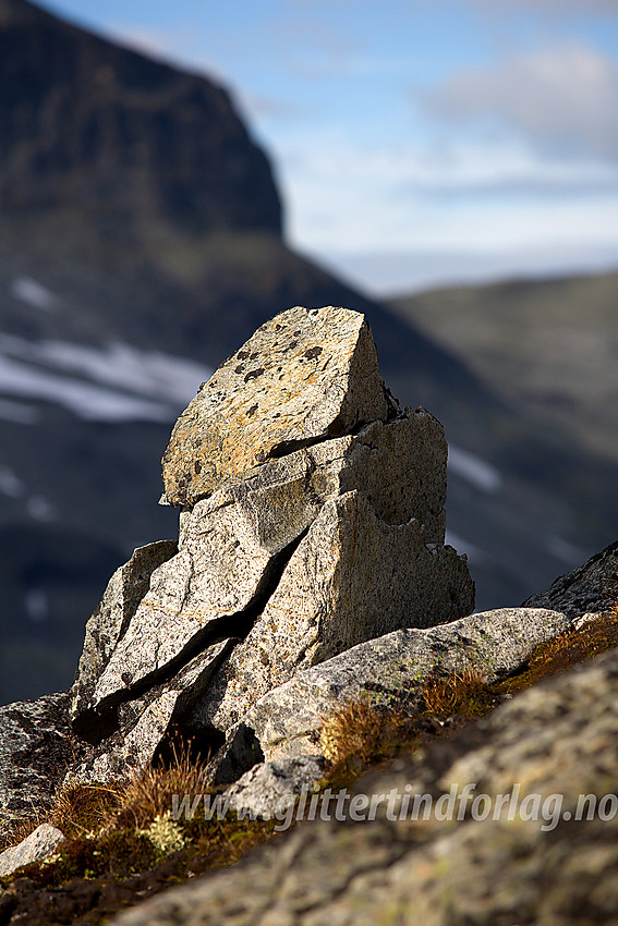 Naturlig varde ved Surtningstinden.