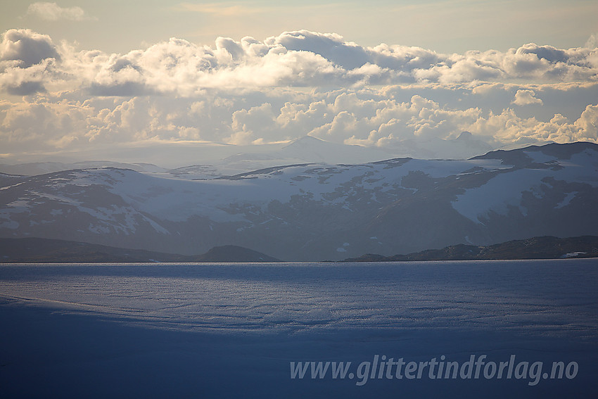 Utsikt fra Surtningstinden mot Jostedalsbreen en sommerkveld. Bak til høyre skimtes Lodalskåpa. I forgrunnen toppen på Smørstabbreen.