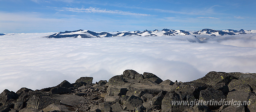 Fra Nautgardstinden mot sentrale deler av Jotunheimen. Kun de høyeste toppene stikker opp av tåkehavet.