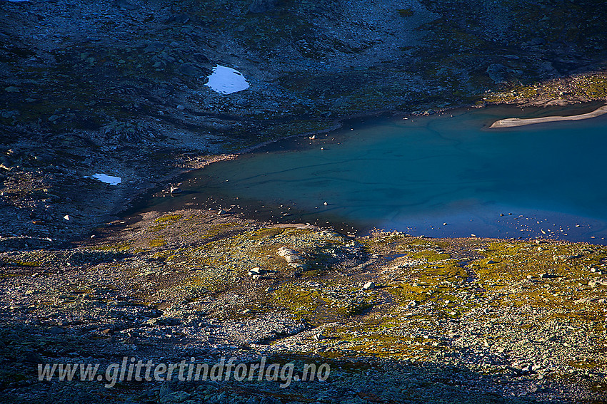 Vestenden av Koldedalsvatnet.