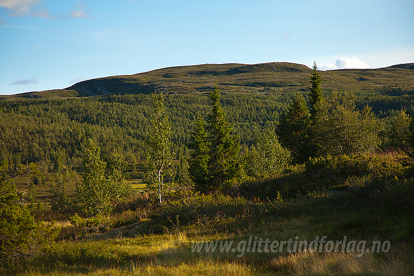 Fra Søre Fjellstølen mot Bjødalsfjellet.