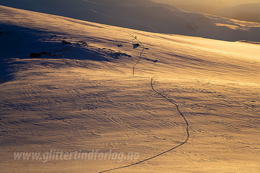Skiløper på vei over Surtningssubrean.