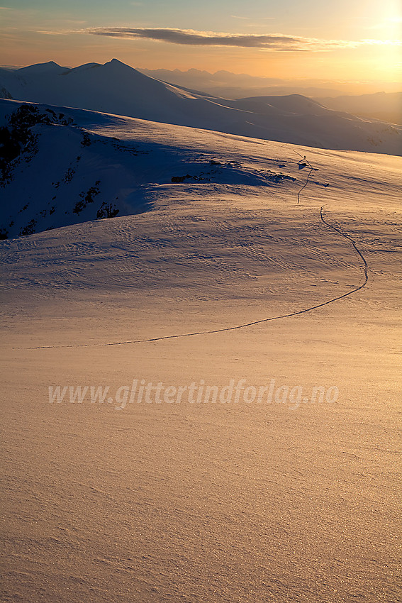 Skiløper på vei over Surtningssubrean. Nautgardstinden i bakgrunnen. Rondane skimtes i det fjerne.