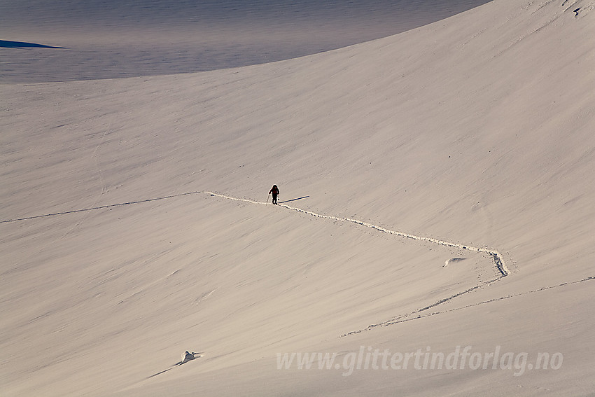 Skiløper på vei opp øvre del av Surtningssubrean på tur til Surtningssue.