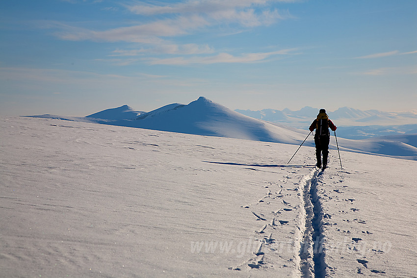 På vei ned Surtningssubrean med Nautgardstinden (2258 moh) i bakgrunnen.