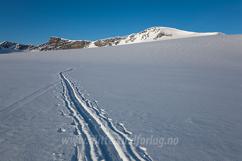 Skispor over Surtningssubrean med Midtre, Sørtoppen og selve Surtningssue i bakgrunnen.